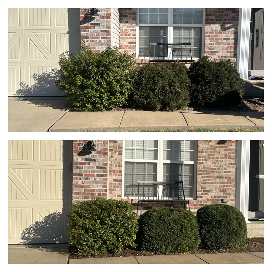 Your #1 Affordable Bush Trimming Service in Lake Saint Louis, MO